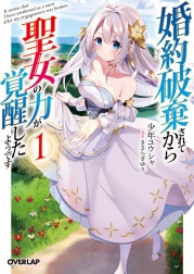 婚約破棄されてから聖女の力が覚醒したようです