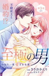 至極の男～もう一度愛される夜［ｃｏｍｉｃ　ｔｉｎｔ］　分冊版