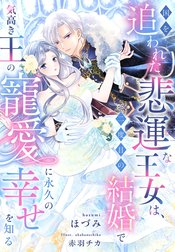国を追われた悲運な王女は、二度目の結婚で気高き王の寵愛に永久の幸せを知る