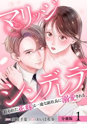 マリッジシンデレラ 拾われた花嫁は一途な副社長に溺愛される 分冊版