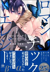 ロマンチック・エレジー【再編集版】