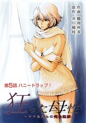 狂った母性  ～ママ友たちの完全犯罪～ 分冊版