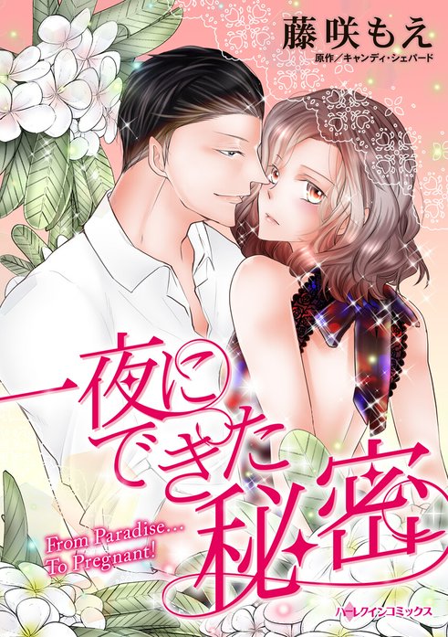 一夜にできた秘密