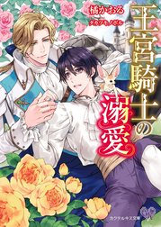 王宮騎士の溺愛