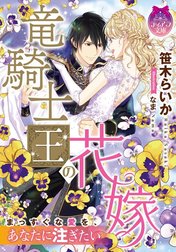 竜騎士王の花嫁【イラスト付】