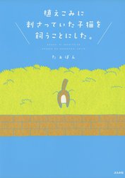 植えこみに刺さっていた子猫を飼うことにした。