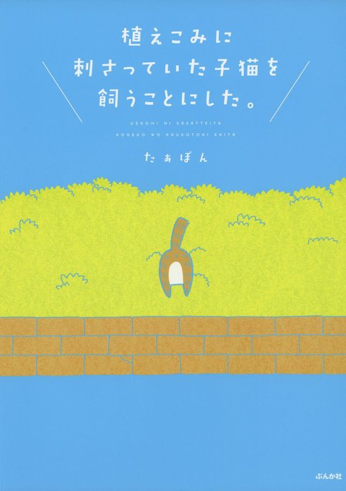 植えこみに刺さっていた子猫を飼うことにした。