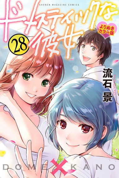 ドメスティックな彼女 公式薄い本 ドメスティックな彼女 公式薄い本