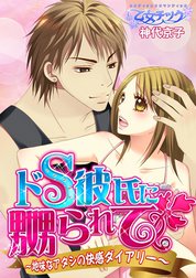 絶対君主のＳ彼王子シリーズ