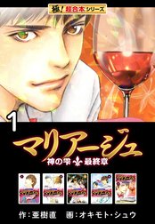 【極！超合本シリーズ】マリアージュ～神の雫 最終章～