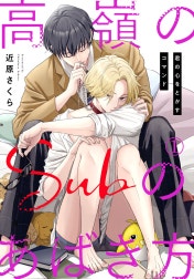 高嶺のSubのあばき方～君の心をとかすコマンド～