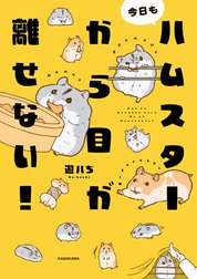 今日もハムスターから目が離せない！