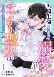 Berry’sFantasy黒騎士様から全力で溺愛されていますが、すごもり聖女は今日も引きこもりたい！