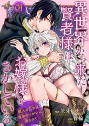 異世界から来た賢者様はお嫁様をさがしている　獣人の乙女は運命のつがいに愛されて 【短編】