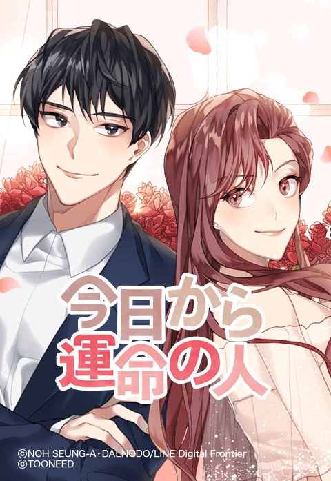 今日から運命の人