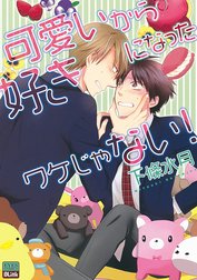 可愛いから好きになったワケじゃない！