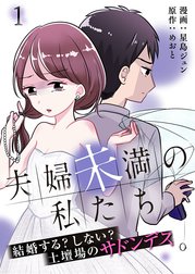 夫婦未満の私たち～結婚する?しない?土壇場のサドンデス