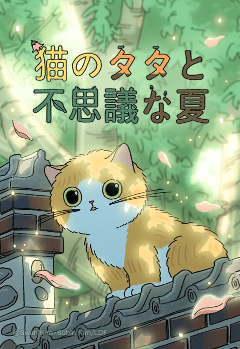 猫のタタと不思議な夏