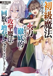 「初級魔法しか使えず、火力が足りないので徹底的に攻撃魔法の回数を増やしてみることにしました」シリーズ