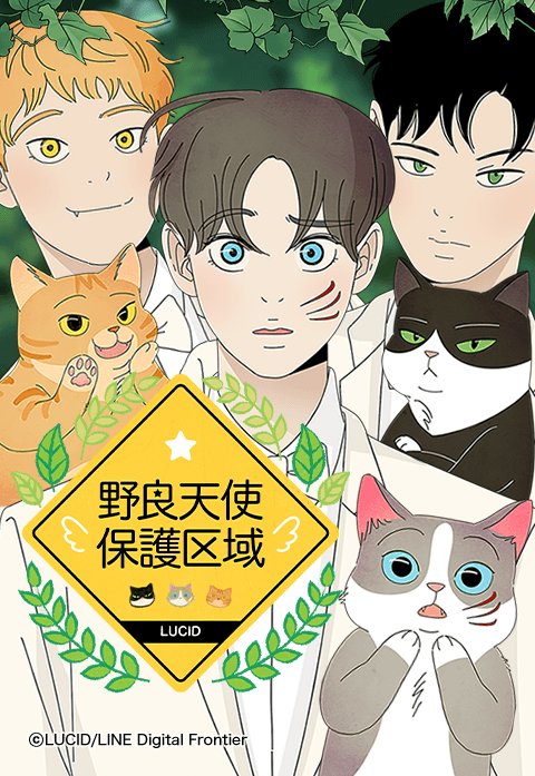 野良天使保護区域