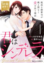 君はシンデレラ～孤高な御曹司が絶え間なく愛を注ぐ理由～【財閥御曹司シリーズ】