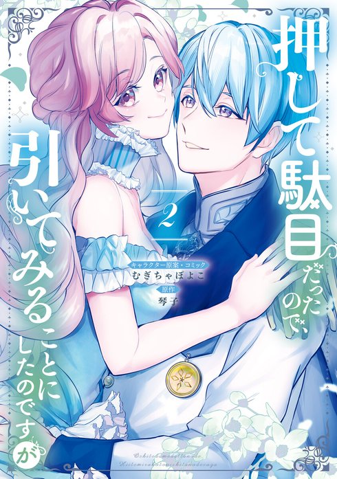 押して駄目だったので、引いてみることにしたのですが