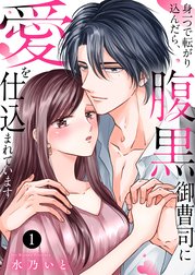 身一つで転がり込んだら、腹黒御曹司に愛を仕込まれています