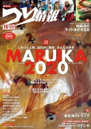 つり情報