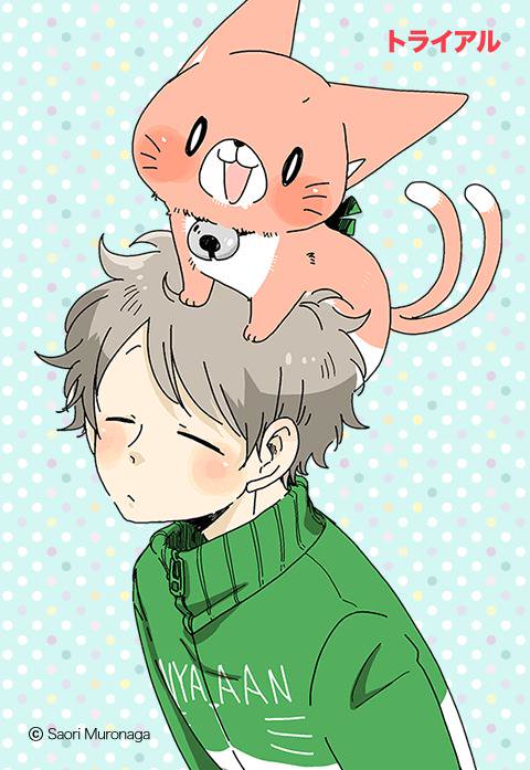 うちのねこマタ