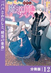 身体を奪われたわたしと、魔導師のパパ【分冊版】