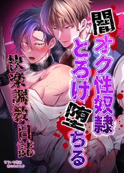 【白抜き修正版】闇オク性奴隷とろけ堕ちる快楽調教日誌