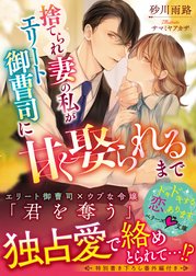 捨てられ妻の私がエリート御曹司に甘く娶られるまで