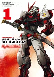 機動戦士ガンダムSEED ASTRAY Re: Master Edition