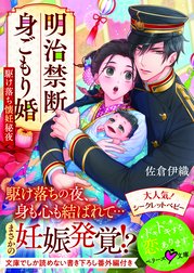 明治禁断身ごもり婚～駆け落ち懐妊秘夜～