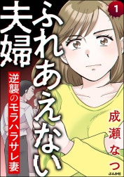 ふれあえない夫婦 逆襲のモラハラサレ妻（分冊版）