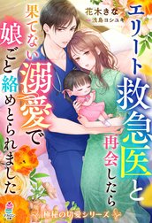 極秘の切愛シリーズ