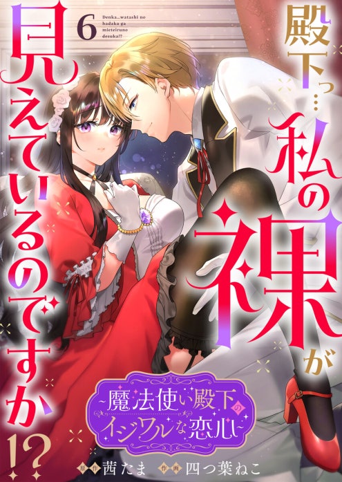 殿下っ…私の裸が見えているのですか!? ～魔法使い殿下のイジワルな恋心～