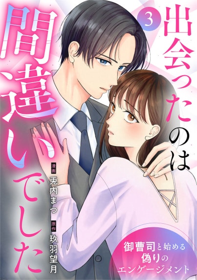利害一致婚のはずですが、ホテル王の一途な溺愛に蕩かされています