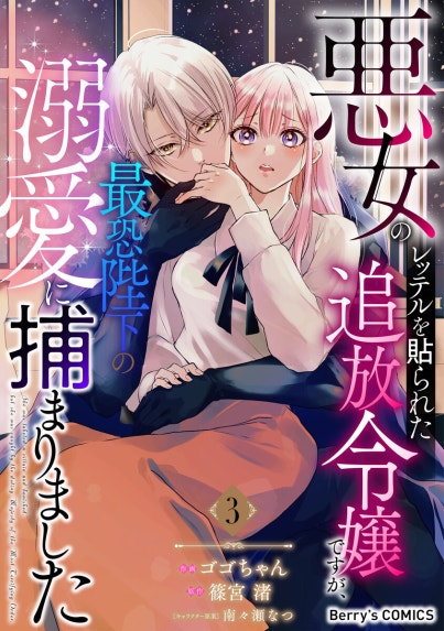 身代わり令嬢を救ったのは冷酷無慈悲な氷の王子の愛でした【単行本版