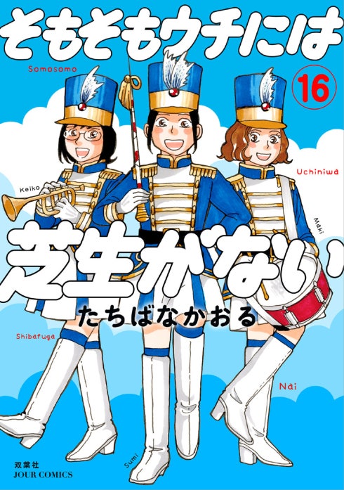 そもそもウチには芝生がない