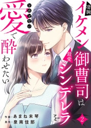凄腕イケメン御曹司は最愛シンデレラをとめどない愛で酔わせたい
