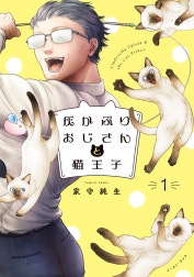 灰かぶりおじさんと猫王子 特別版