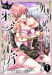 婚約破棄された辺境伯令嬢ですが、敵国王に求愛されて花嫁になりました