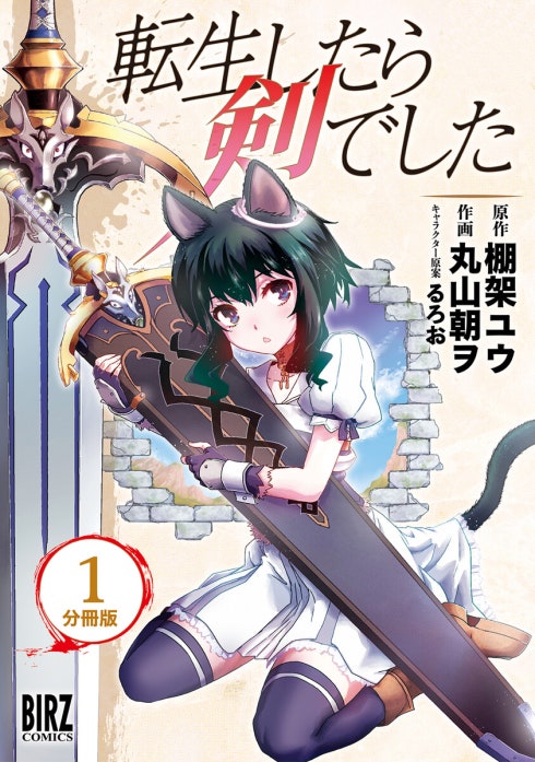 転生したら剣でした【分冊版】 転生したら剣でした 【分冊版】 1｜棚架