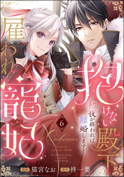 見捨てられた王女は冷酷王子に拾われました!?～幸せ婚前恋～【分冊版