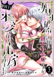 婚約破棄された辺境伯令嬢ですが、敵国王に求愛されて花嫁になりました