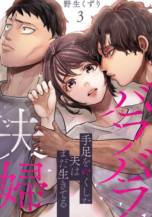 バラバラ夫婦～手足をなくした夫はまだ生きてる