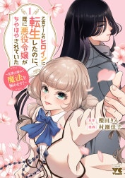 乙女ゲームのヒロインに転生したのに、既に悪役令嬢がちやほやされていた～恋愛は諦めて魔法を極めます！～