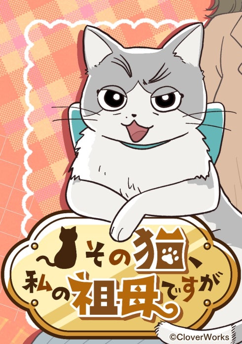 その猫、私の祖母ですが