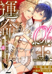 α王の運命～王妃候補の護衛のはずが王の番になりました～